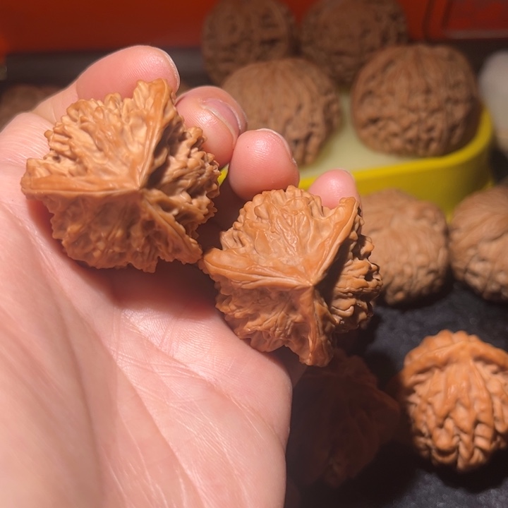 吊坠龙脊菩提三棱