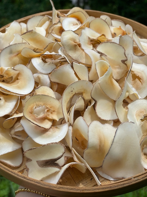 【海底椰】无硫原色搭配枸杞煲汤佳品