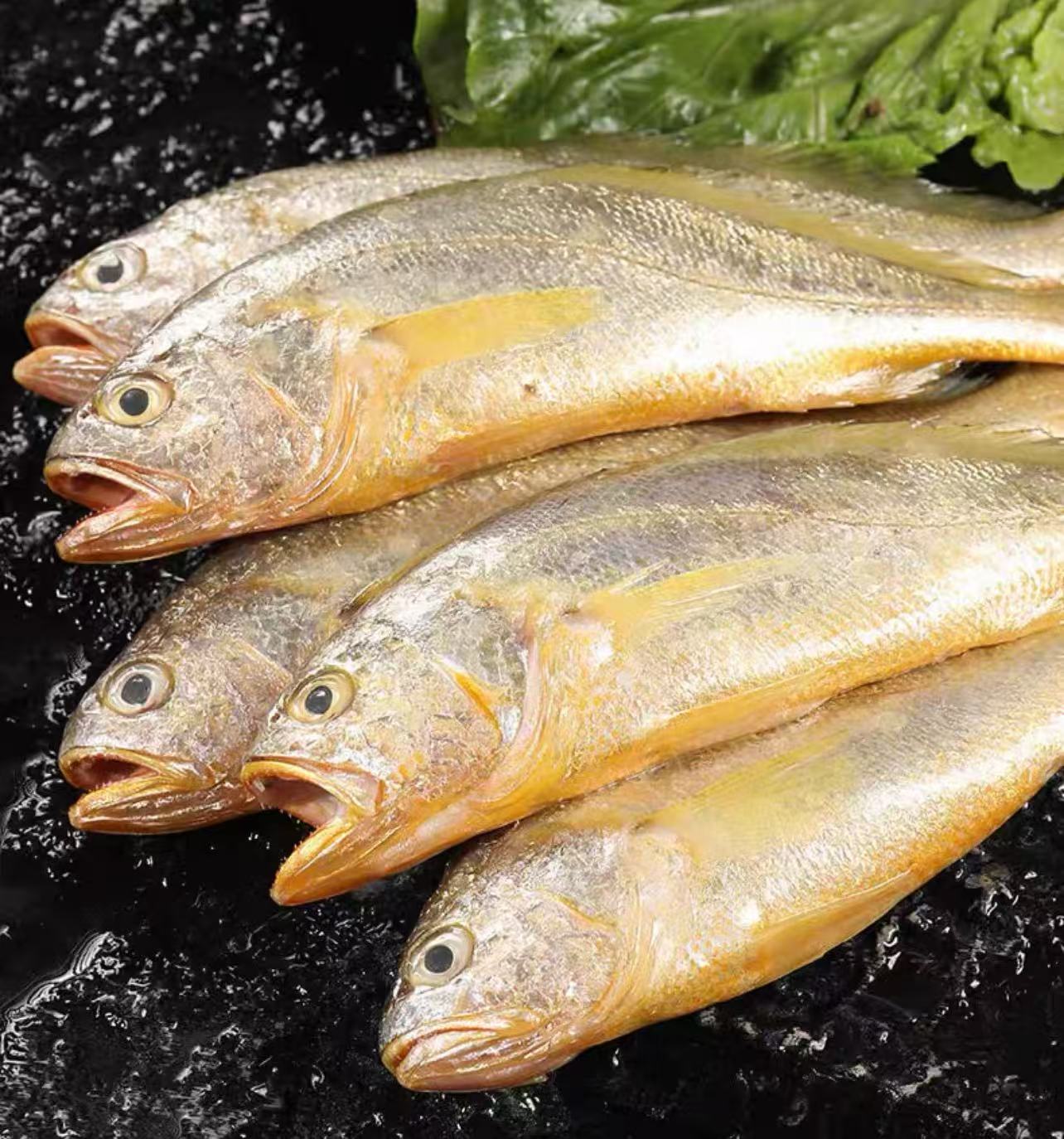 [荣哥专属]冻东海小黄鱼 6条/斤*3斤