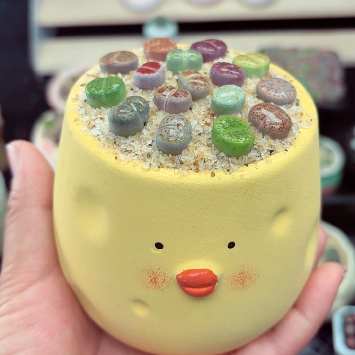 824零下地区记得拍保温箱