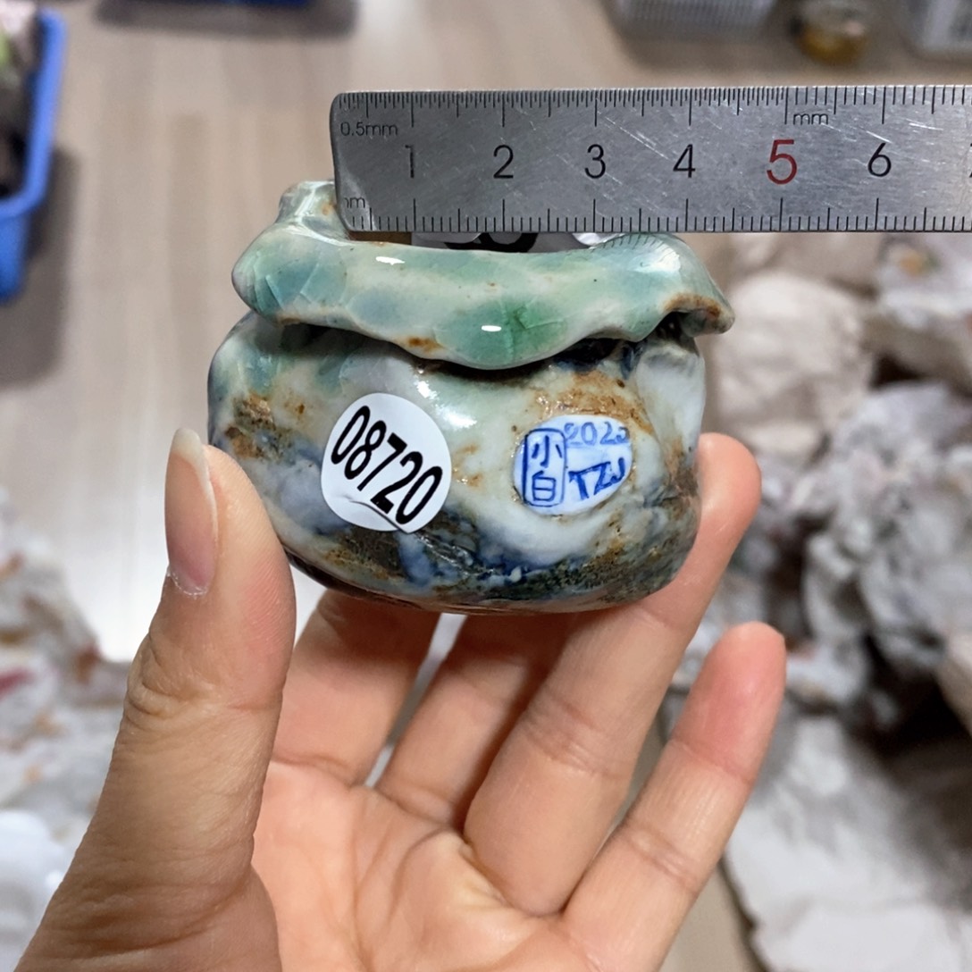 花盆拍3送一个小礼物