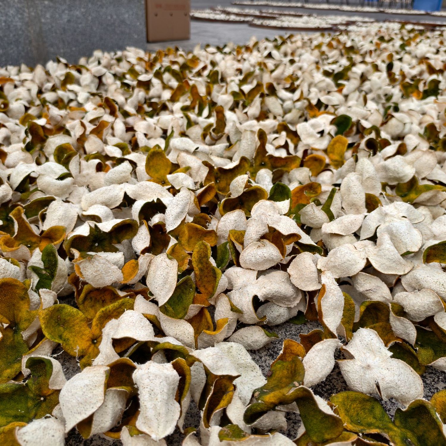 新会陈皮/小青柑/陈皮丝代用链接单品链接