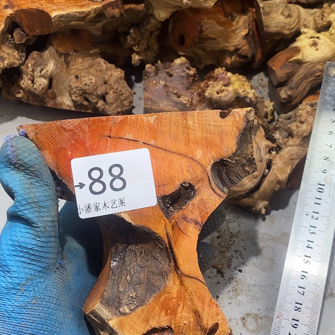 香榧木金**卉火琉璃……火琉璃