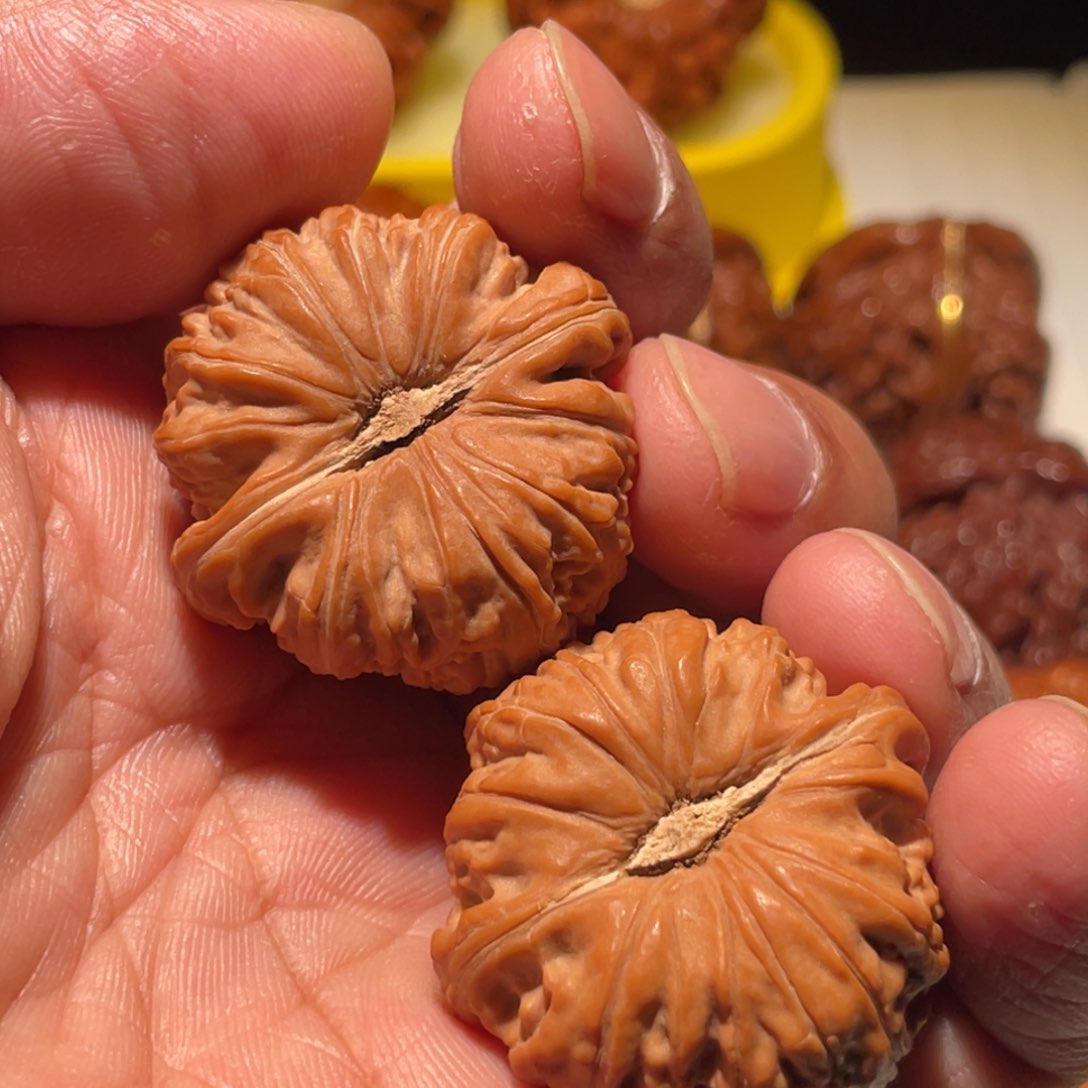 文玩核桃吊坠猫*?白狮子