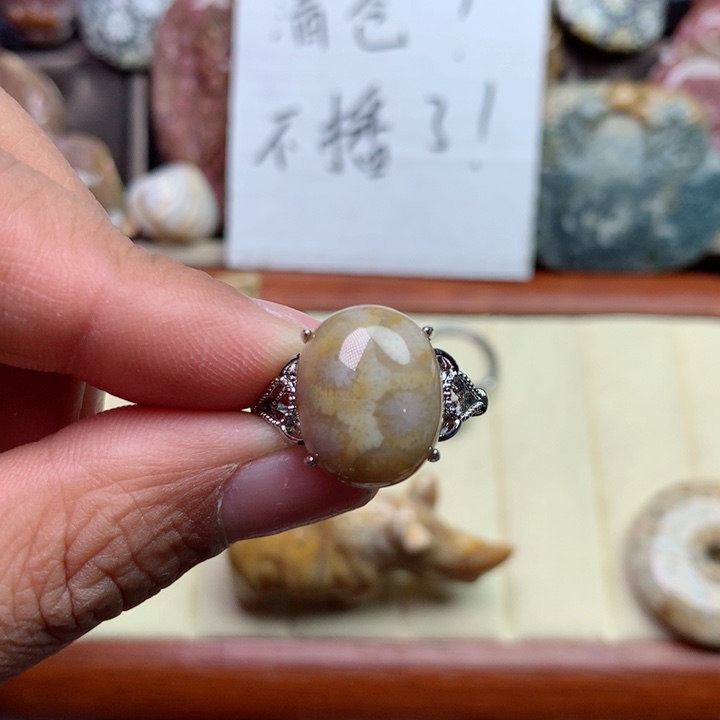 硅化珊瑚（珊瑚玉）颈饰未镶嵌