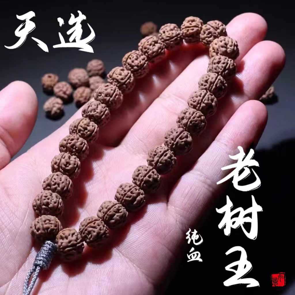 纯血勿里达老树王小金刚菩提手串矮桩男士收藏金刚小金刚手串手持