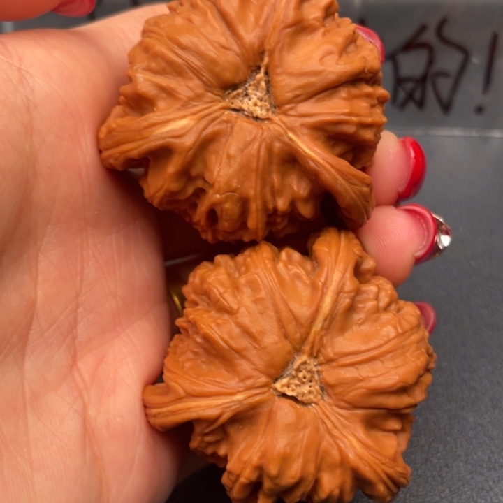 战***狼吊坠文玩核桃白狮子