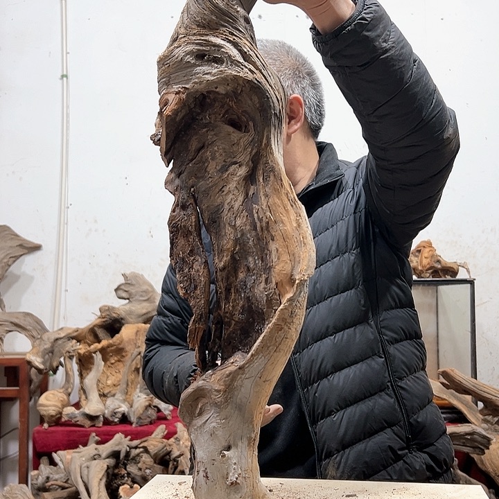 柏木金*钻我们的生活也是