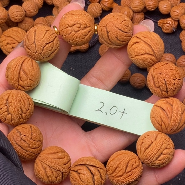 秦岭龙纹桃核13颗