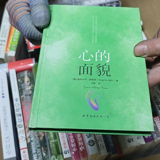 心的面貌库存书库存书