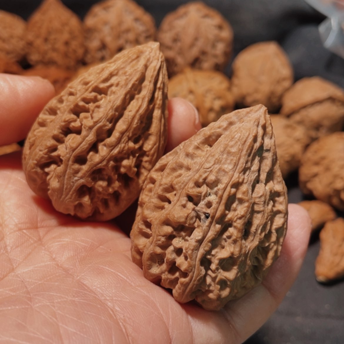 【闪购商品】把件文玩核桃画***头东北楸子11