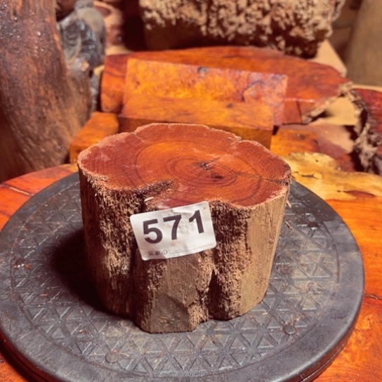 大果紫檀（缅甸花梨）