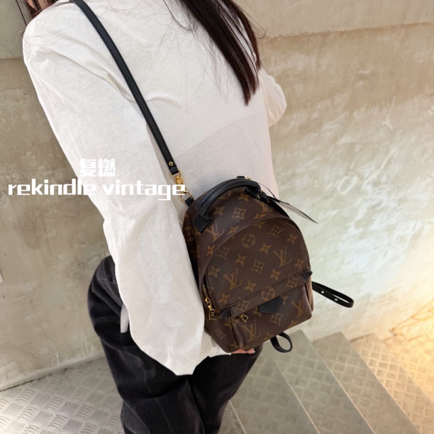 95新 LouisVuitton/路易威登 复燃精选/老花mini双肩包19年