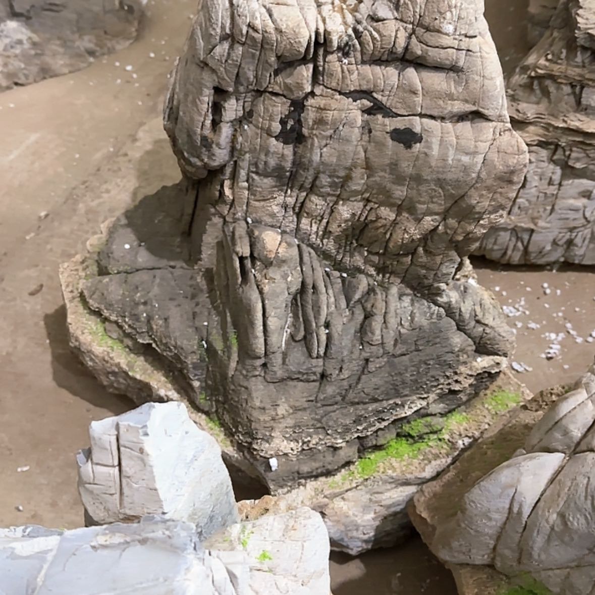 【闪购商品】香榧木人**记这种东西我觉得真的不