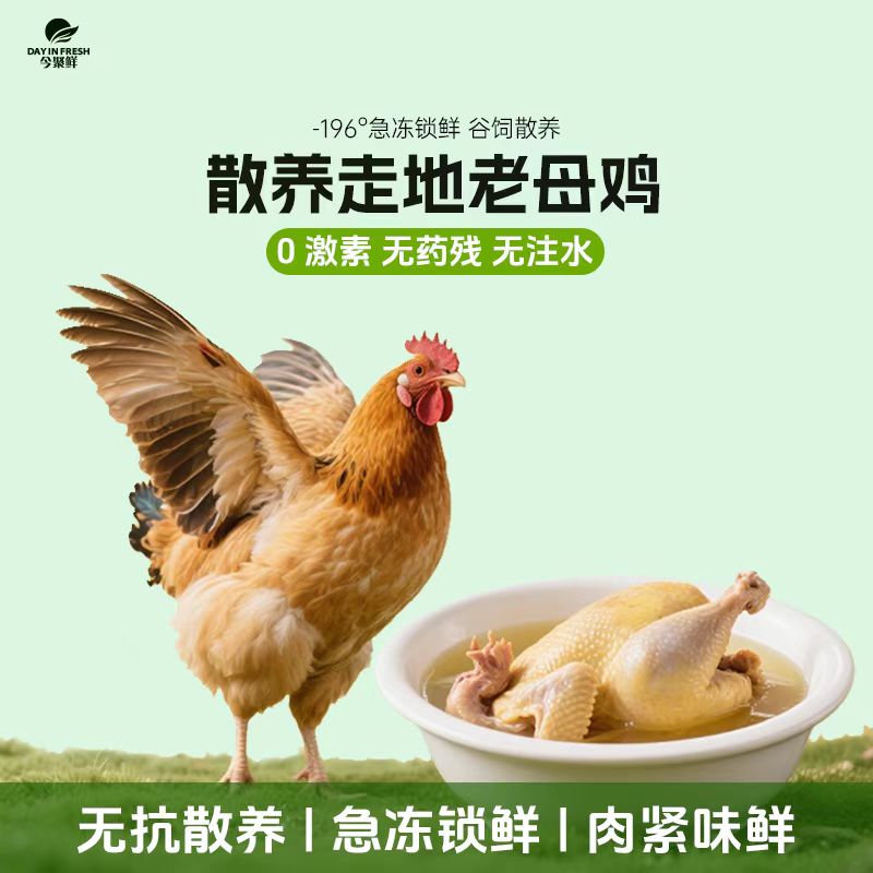 【无抗土鸡】肥西老母鸡谷饲喂养走地鸡 肉质紧实煲汤鲜美 一只装