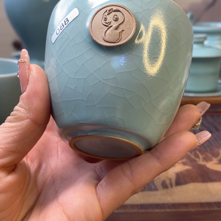 主人杯一一一一一一一