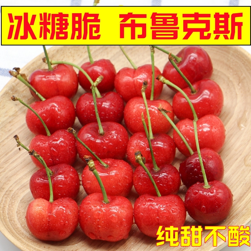 【顺丰次日达】冰糖脆布鲁克斯大樱桃新鲜山东大樱桃现摘现发5斤包邮JJ布鲁克斯樱桃