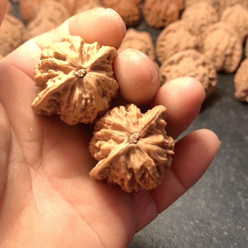 【闪购商品】航*航盘龙纹