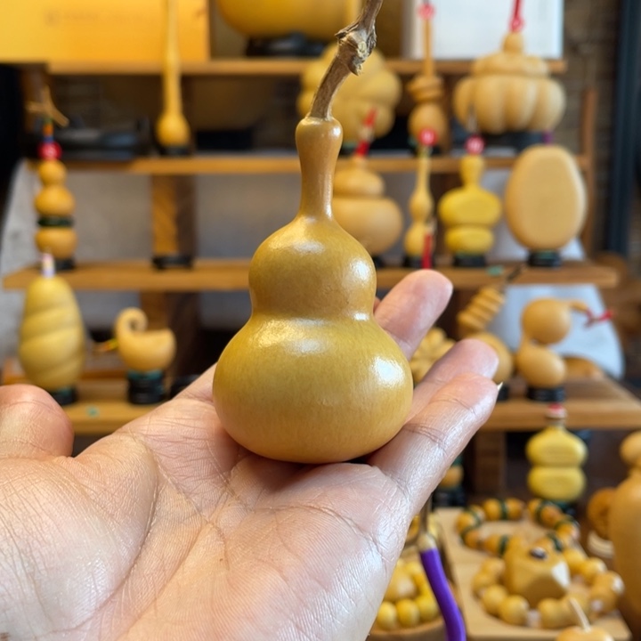 青***山天然葫芦自然生长