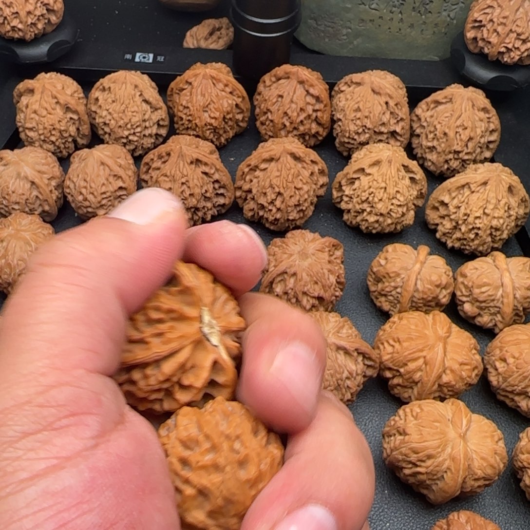 一***人41尺全品无修宫灯