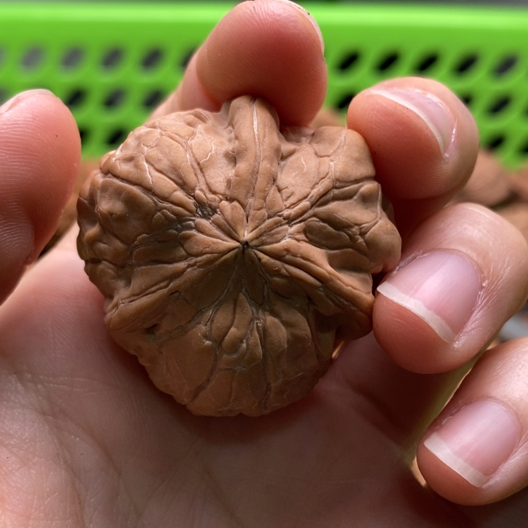 细***风核桃定制商品不退不换