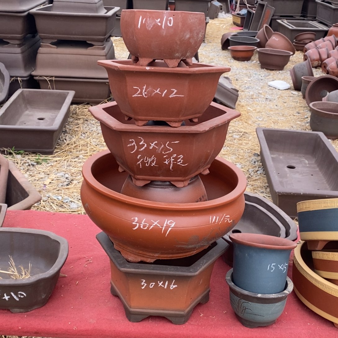 微瑕。   一组五只