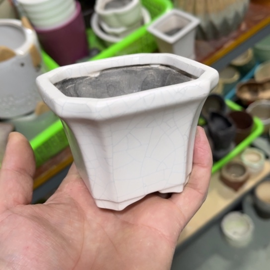 ［所有订单凑满15发］8×7