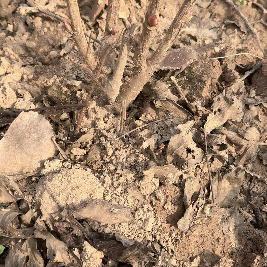 完全开放1111111111111