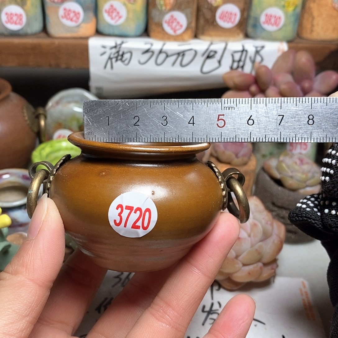 红陶拍5送一个小