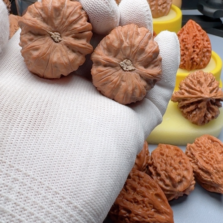 核桃精品门头沟元宝