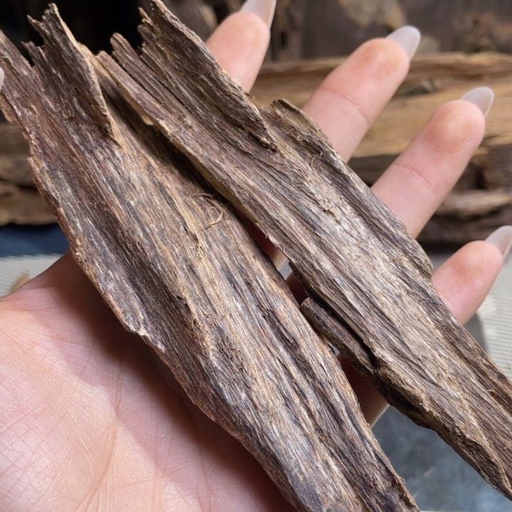 虎***活沉香海南虫漏22克