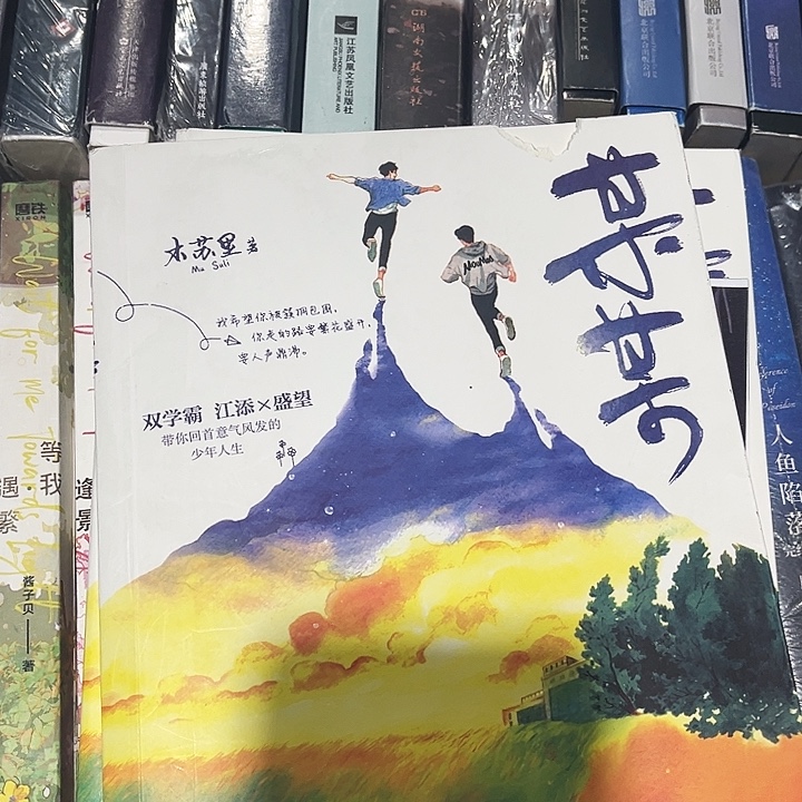 某某全新全套三本带周边未删减
