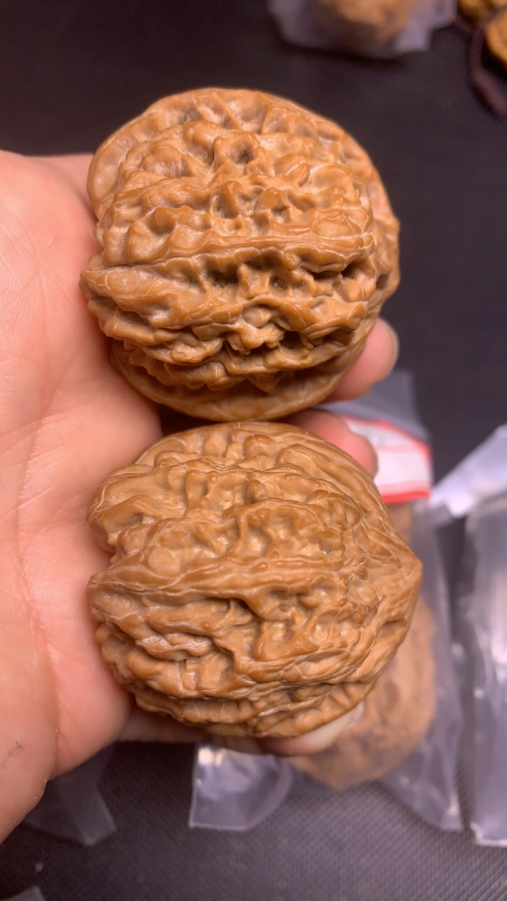 文玩核桃全品野牛43尺上色快红皮桩型霸气大克重精卡对儿随机发货