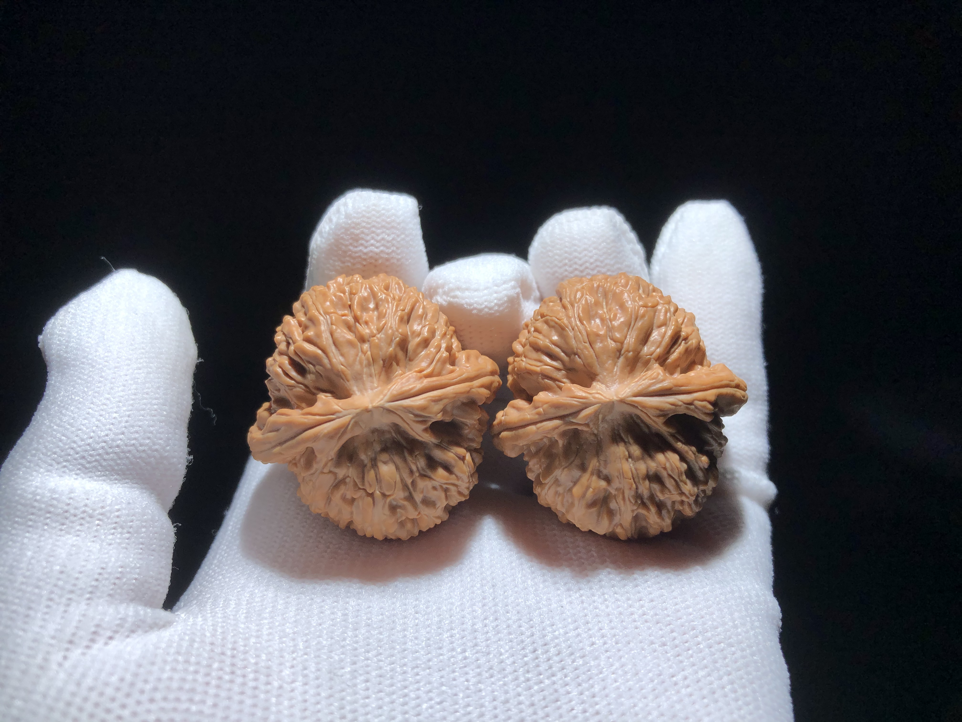 品牌一世A级货头白狮子文玩核桃