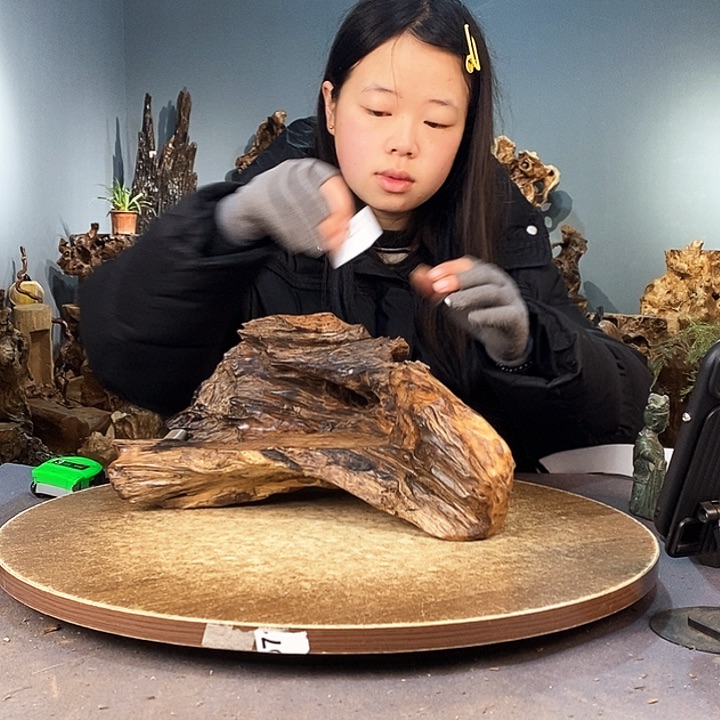 茶盏用****6721株木随行的根艺在