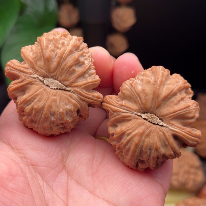 文玩核桃把件卡姿兰全品42