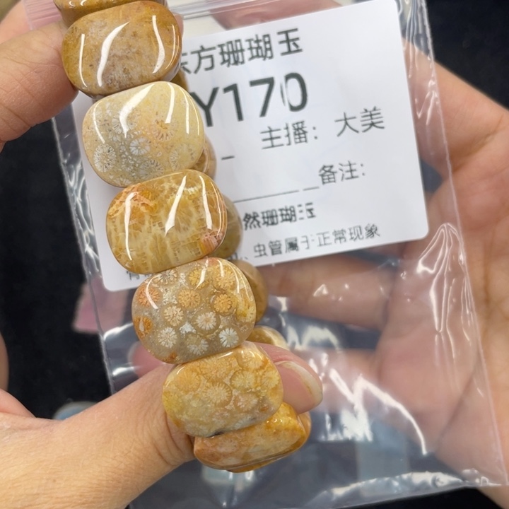 硅化珊瑚（珊瑚玉）合金颈饰