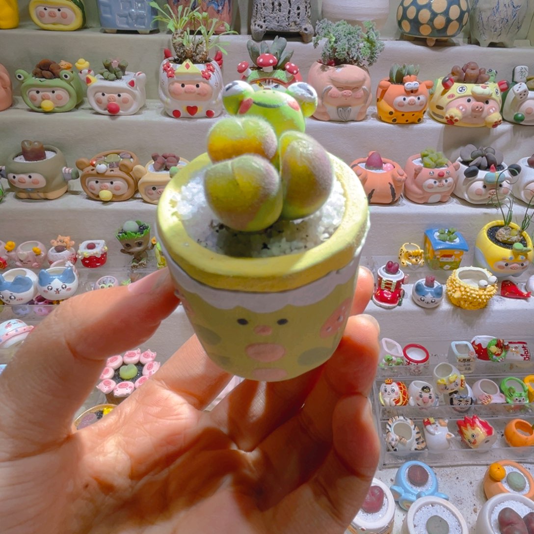 Z*zZ宝专属折扣链接拍拍