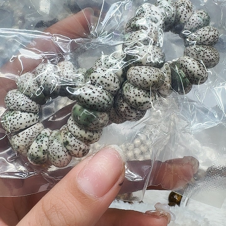 星月菩提手串342傲世星月菩提猪大肠14单圈