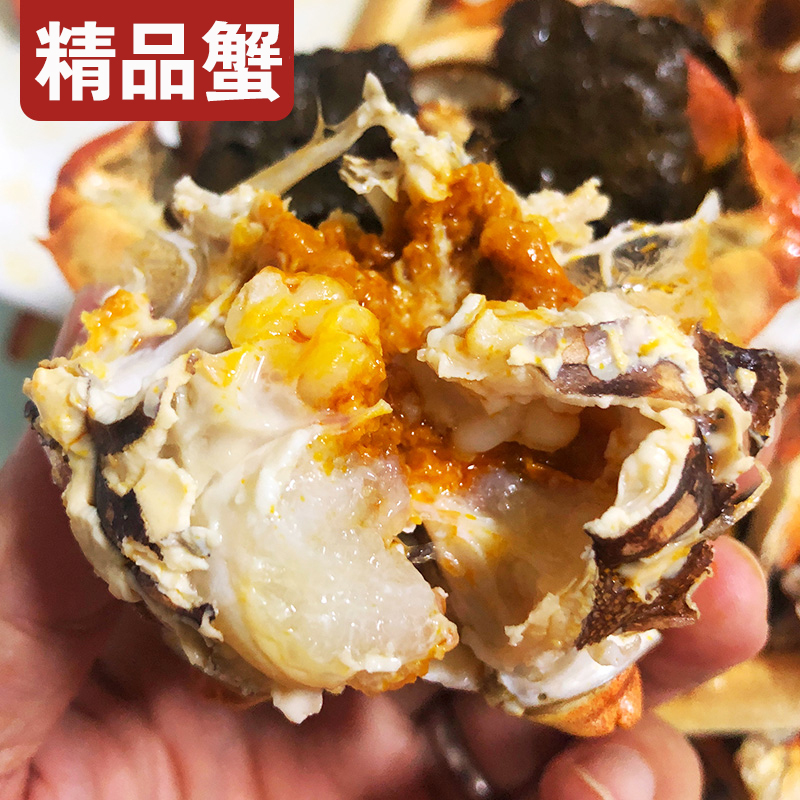 【活蟹】江苏精品大闸蟹公蟹 母蟹搭配 2.2两起10-15只
