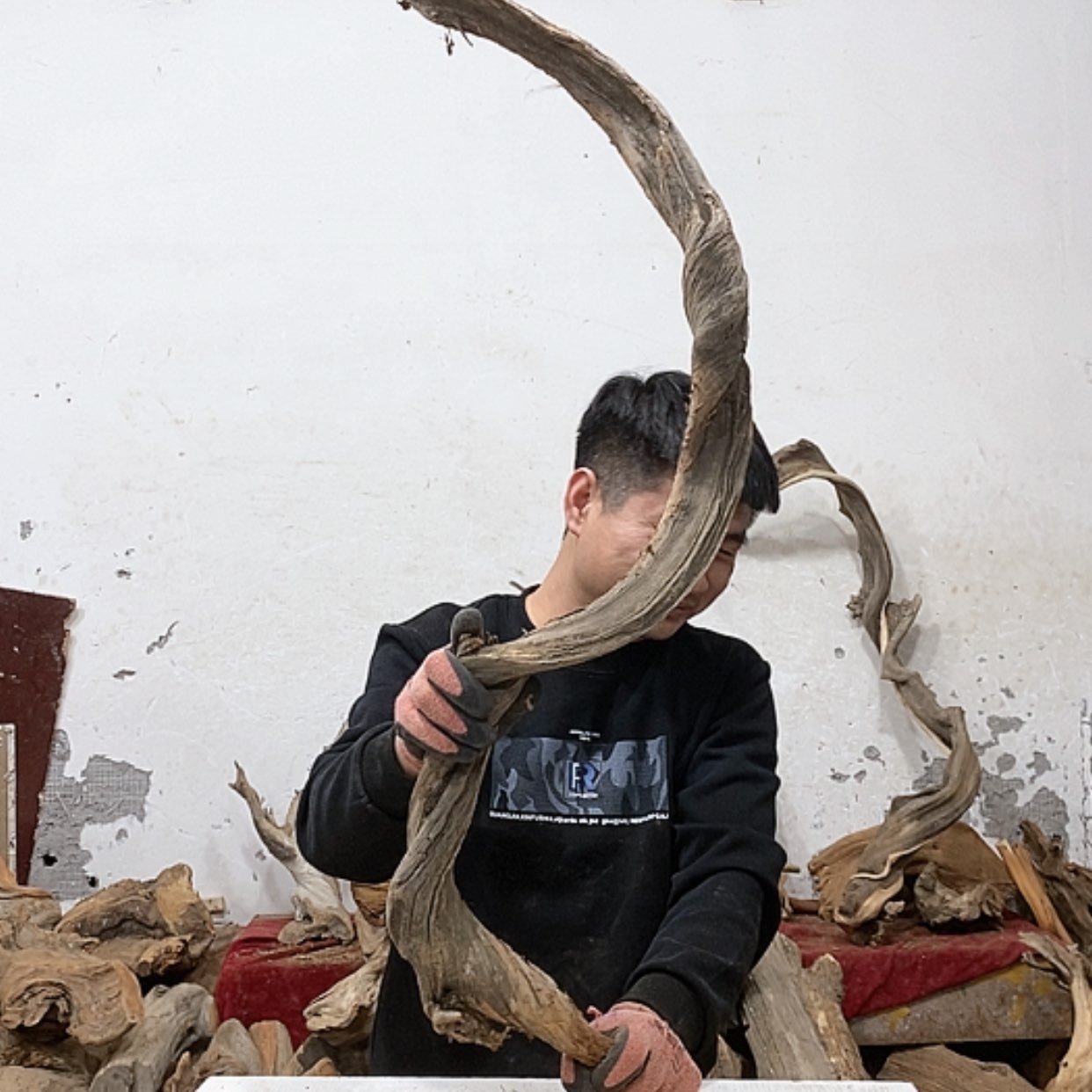 【闪购商品】柏木夏*我们都是好孩子