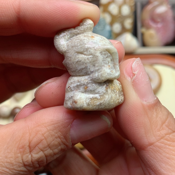 硅化珊瑚（珊瑚玉）颈饰未镶嵌