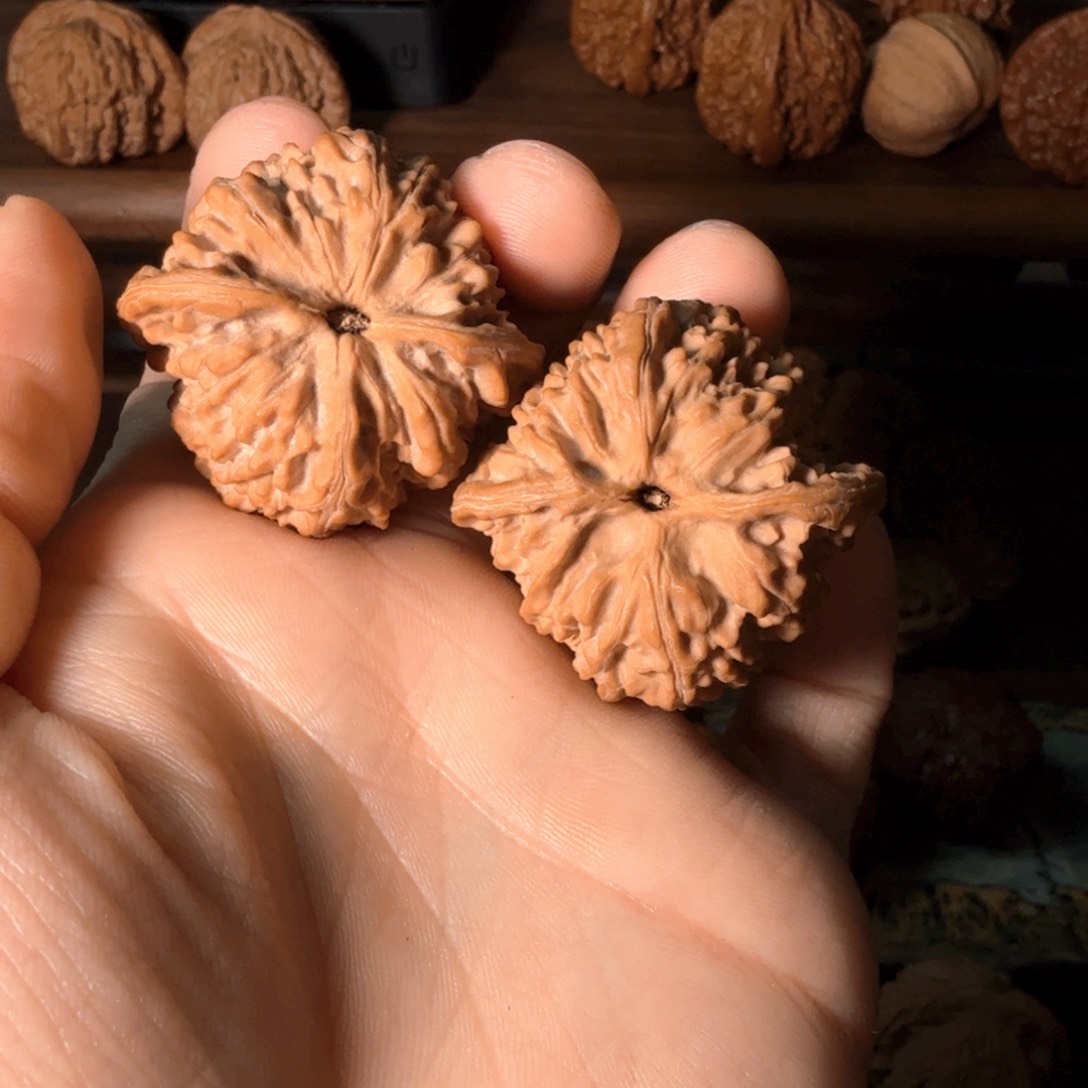 文玩核桃吊坠秦岭无名野生好果39