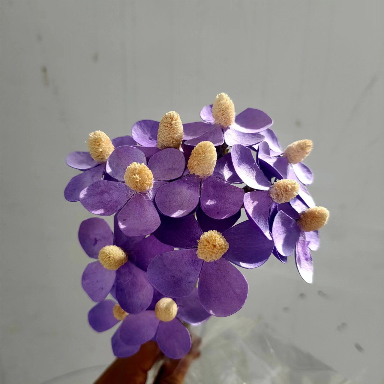 手工花【紫罗兰】云南干花出口小花束居家紫罗兰装饰花环