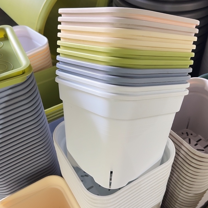 方25口径5个无托混色新款