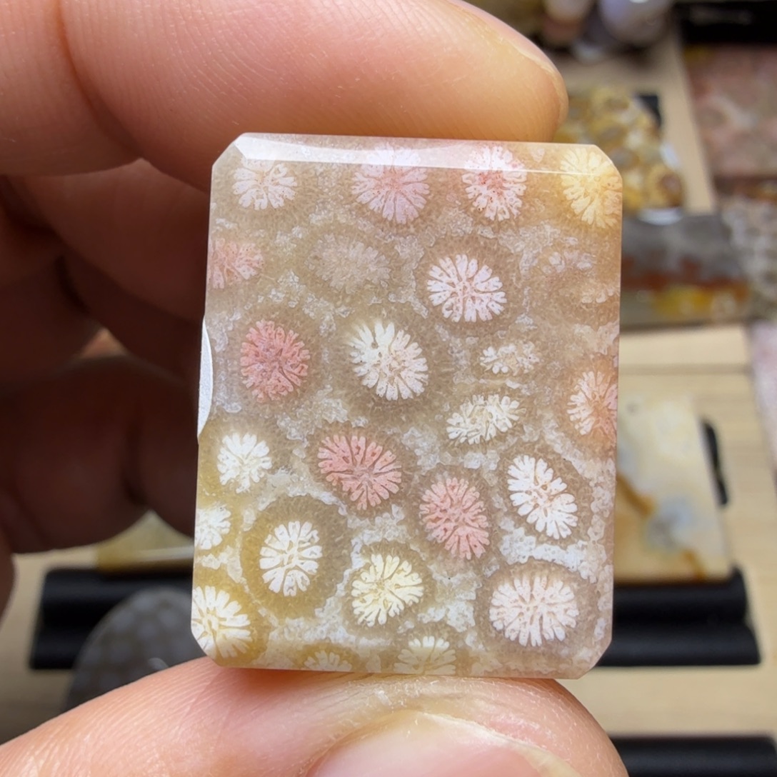 硅化玉未镶嵌纯天然色有机玉石保真色