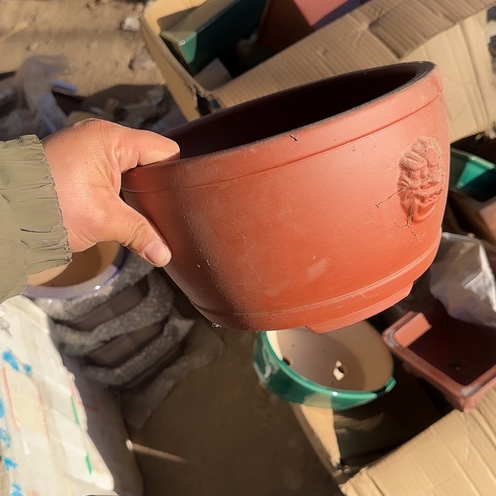 你要吃好了我才给他们打了两天就没吃到我吃得下