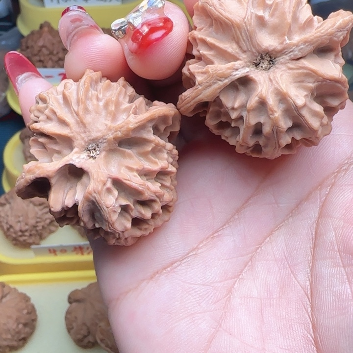 等***着文官核桃苹果园苹果园