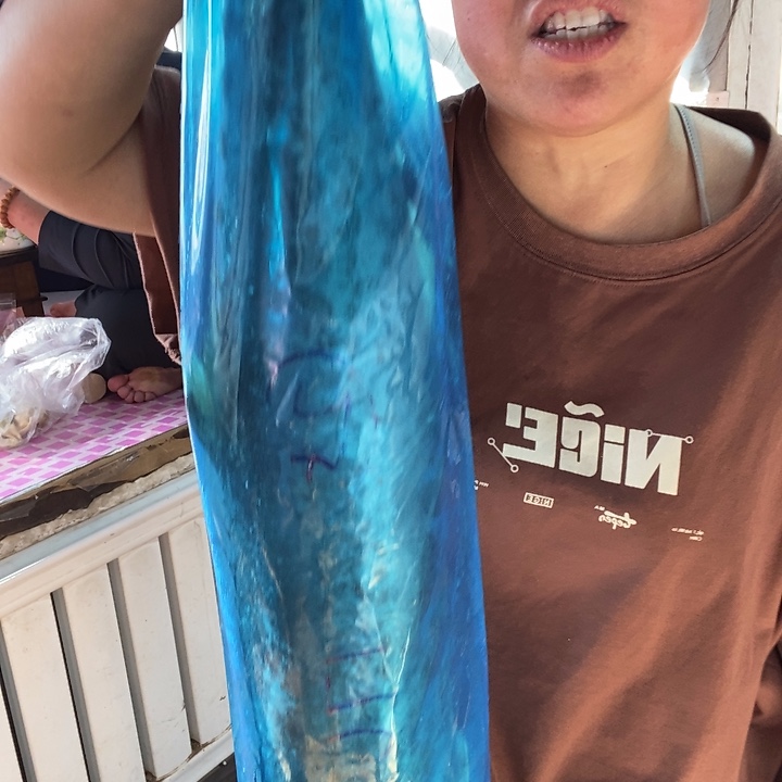 细***铃中国大陆渤海湾野生燕鲅鱼25号