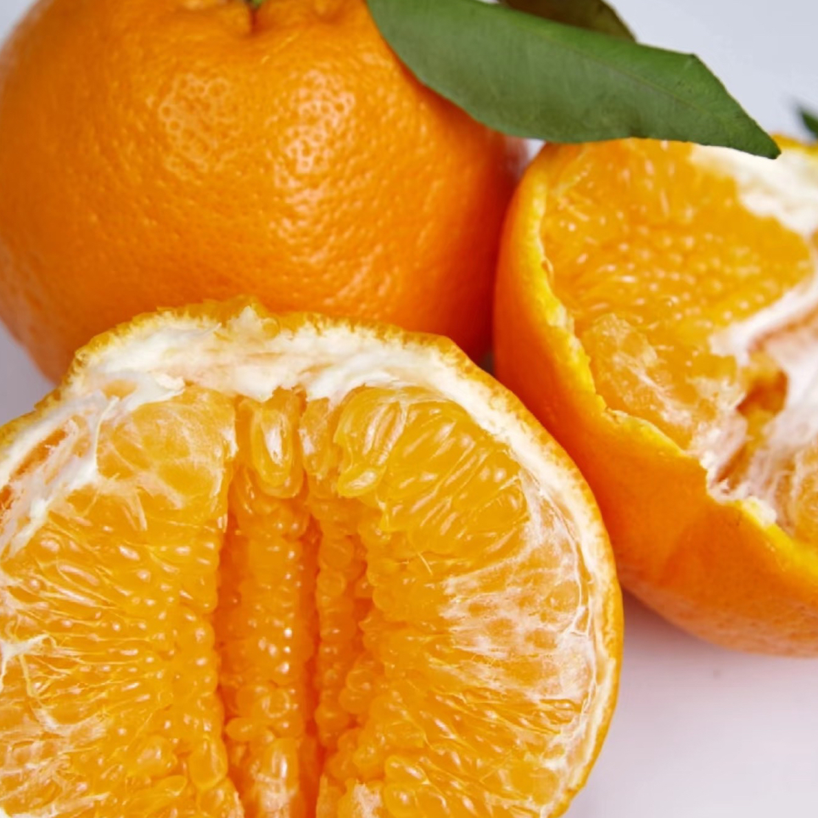 罗氏春见耙耙柑（斤）